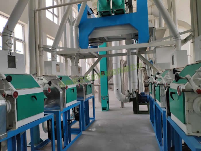 山西忻州燕麦（莜麦）制粉生产线投入生产